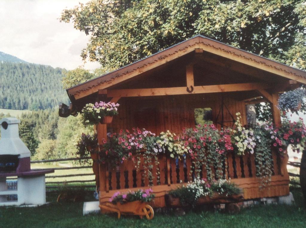Haus Elsa Apartamento Ramsau am Dachstein Exterior foto