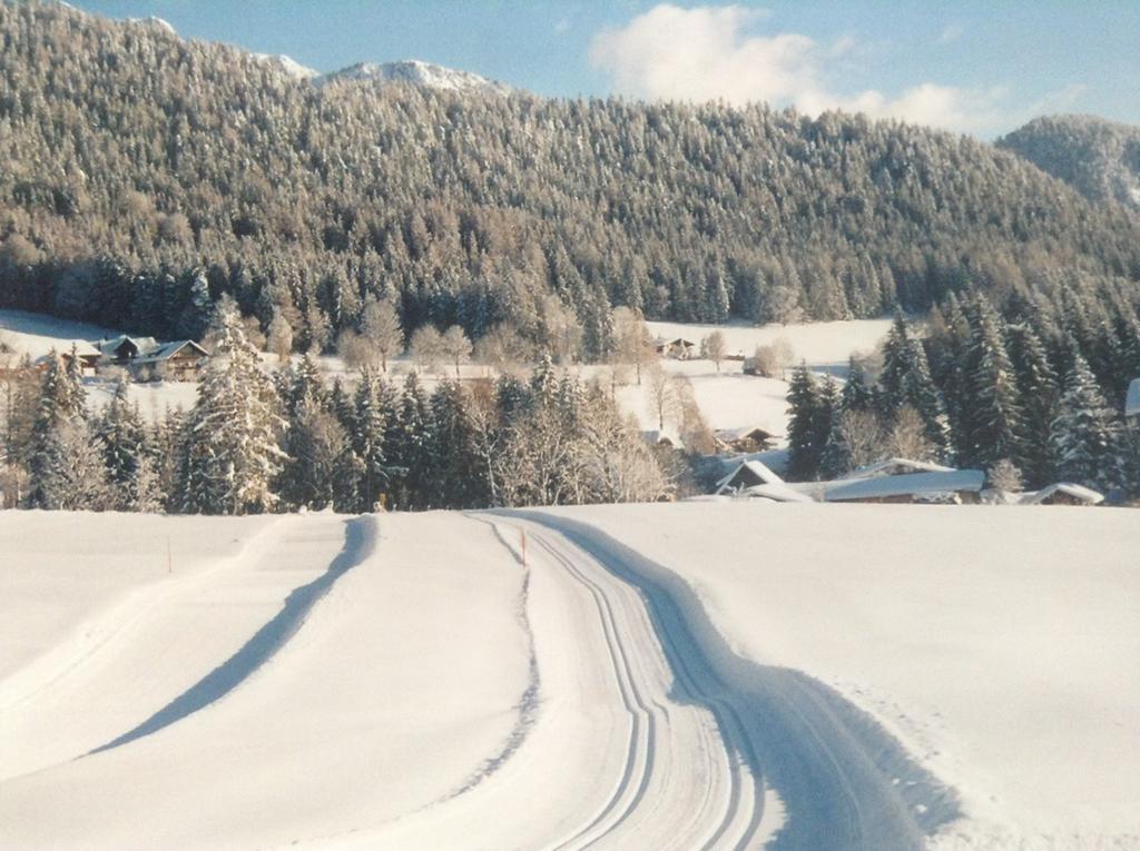 Haus Elsa Apartamento Ramsau am Dachstein Exterior foto